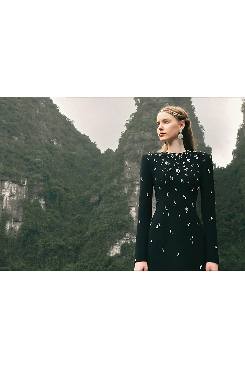 BLACK STONE-EMBELLISHED LONG SLEEVE GOWN