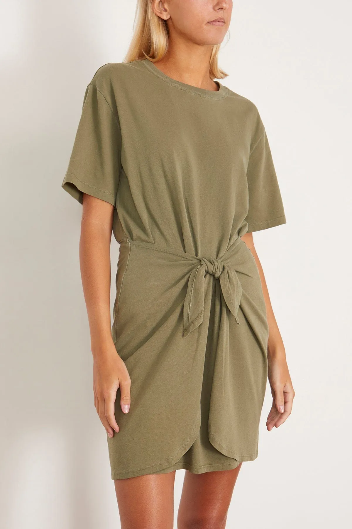 Emme Dress in Dune Green