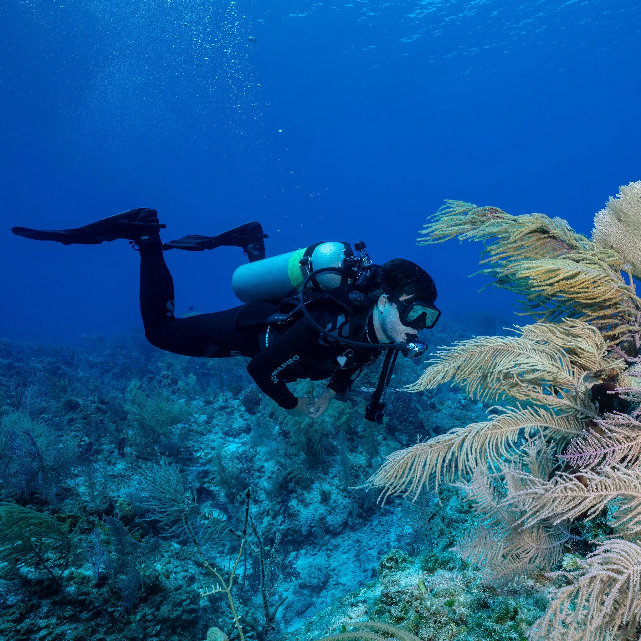 SCUBAPRO - Frameless Dive Mask